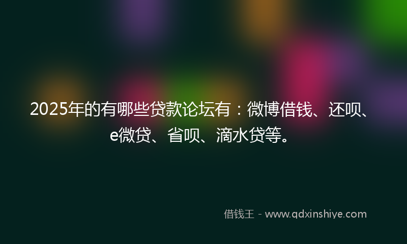 2025年的有哪些贷款论坛有：微博借钱、还呗、e微贷、省呗、滴水贷等。