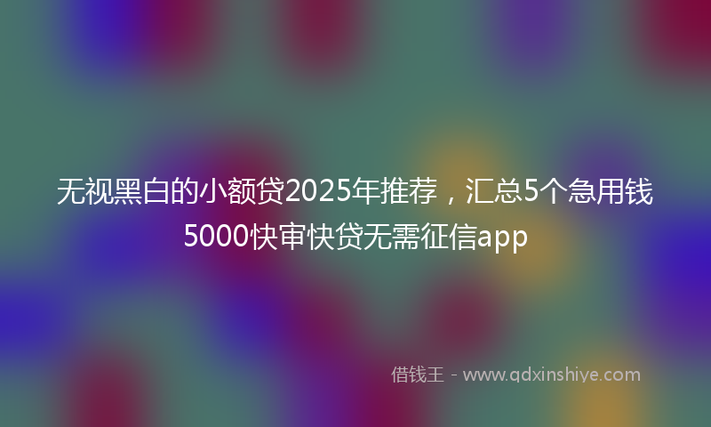 无视黑白的小额贷2025年推荐，汇总5个急用钱5000快审快贷无需征信app