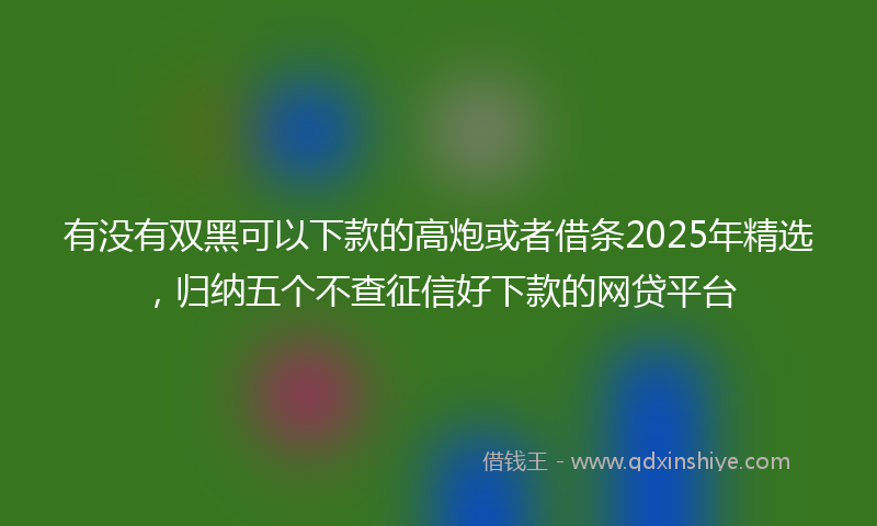 有没有双黑可以下款的高炮或者借条2025年精选，归纳五个不查征信好下款的网贷平台