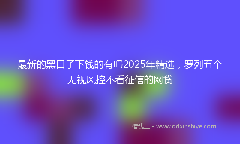 最新的黑口子下钱的有吗2025年精选，罗列五个无视风控不看征信的网贷