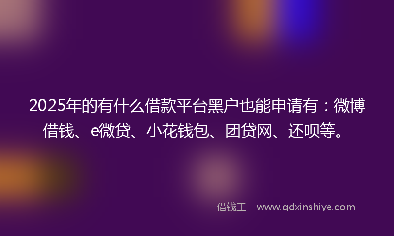 2025年的有什么借款平台黑户也能申请有：微博借钱、e微贷、小花钱包、团贷网、还呗等。
