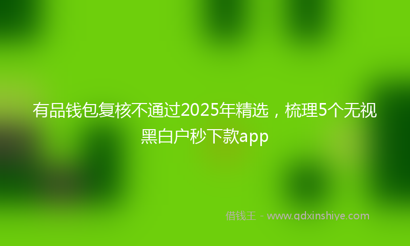 有品钱包复核不通过2025年精选，梳理5个无视黑白户秒下款app