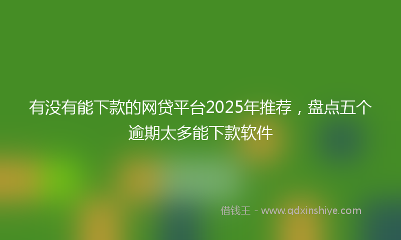 有没有能下款的网贷平台2025年推荐，盘点五个逾期太多能下款软件