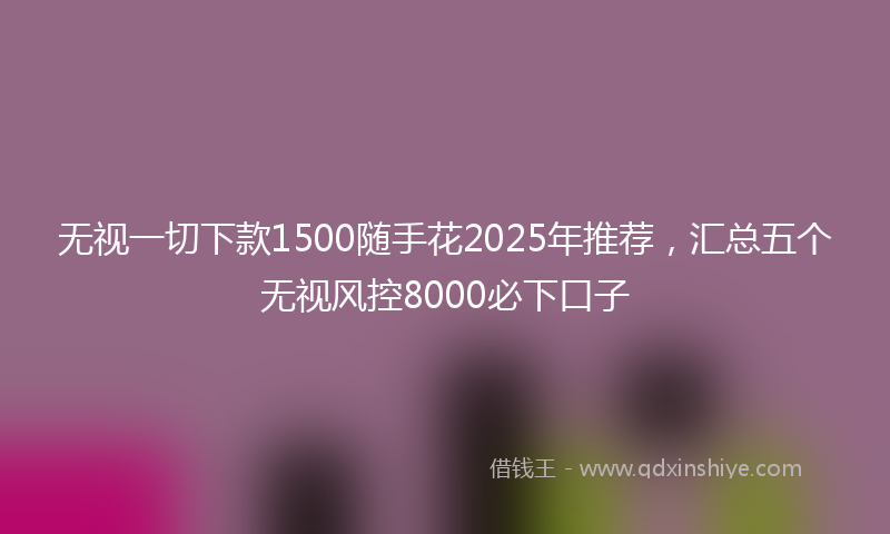 无视一切下款1500随手花2025年推荐，汇总五个无视风控8000必下口子