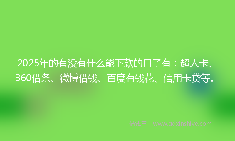 2025年的有没有什么能下款的口子有：超人卡、360借条、微博借钱、百度有钱花、信用卡贷等。