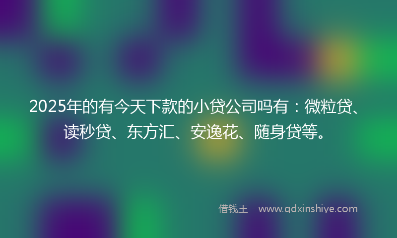 2025年的有今天下款的小贷公司吗有：微粒贷、读秒贷、东方汇、安逸花、随身贷等。