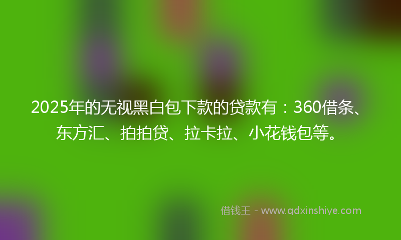 2025年的无视黑白包下款的贷款有：360借条、东方汇、拍拍贷、拉卡拉、小花钱包等。