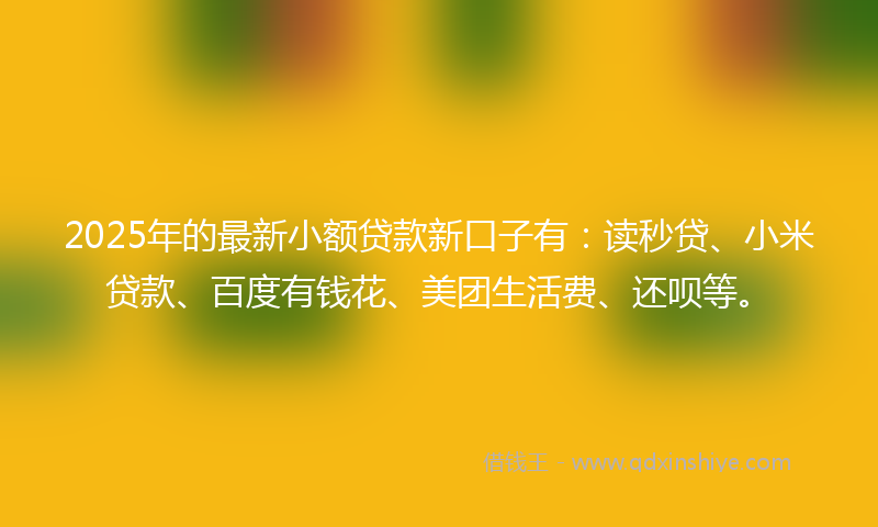 2025年的最新小额贷款新口子有：读秒贷、小米贷款、百度有钱花、美团生活费、还呗等。