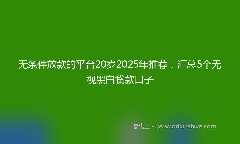 无条件放款的平台20岁2025年推荐，汇总5个无视黑白贷款口子