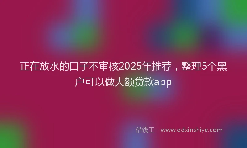 正在放水的口子不审核2025年推荐，整理5个黑户可以做大额贷款app