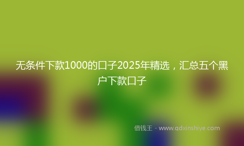 无条件下款1000的口子2025年精选，汇总五个黑户下款口子