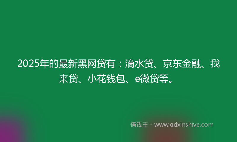 2025年的最新黑网贷有：滴水贷、京东金融、我来贷、小花钱包、e微贷等。