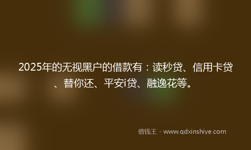 2025年的无视黑户的借款有：读秒贷、信用卡贷、替你还、平安i贷、融逸花等。