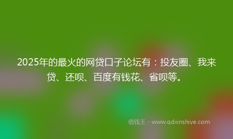 2025年的最火的网贷口子论坛有：投友圈、我来贷、还呗、百度有钱花、省呗等。