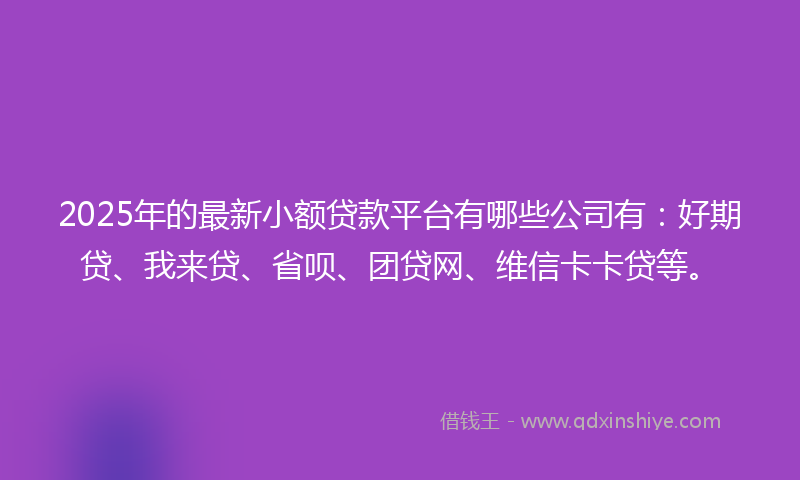 2025年的最新小额贷款平台有哪些公司有：好期贷、我来贷、省呗、团贷网、维信卡卡贷等。