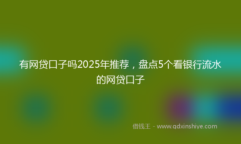 有网贷口子吗2025年推荐，盘点5个看银行流水的网贷口子