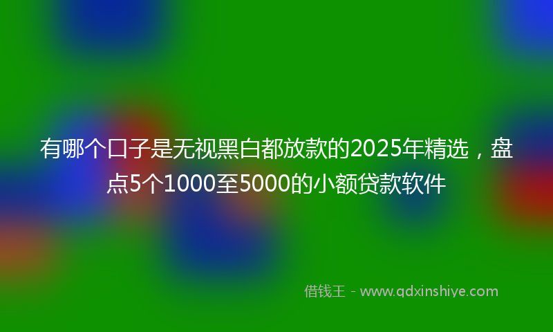 有哪个口子是无视黑白都放款的2025年精选，盘点5个1000至5000的小额贷款软件
