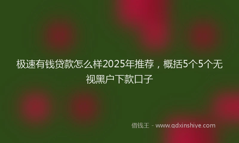 极速有钱贷款怎么样2025年推荐，概括5个5个无视黑户下款口子