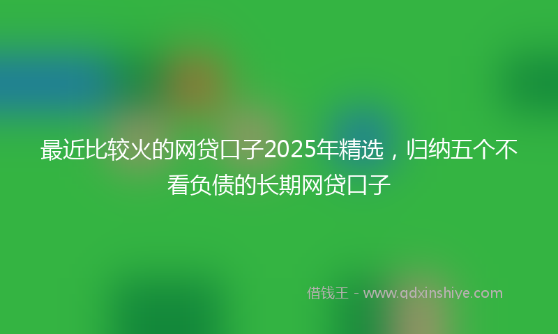 最近比较火的网贷口子2025年精选，归纳五个不看负债的长期网贷口子