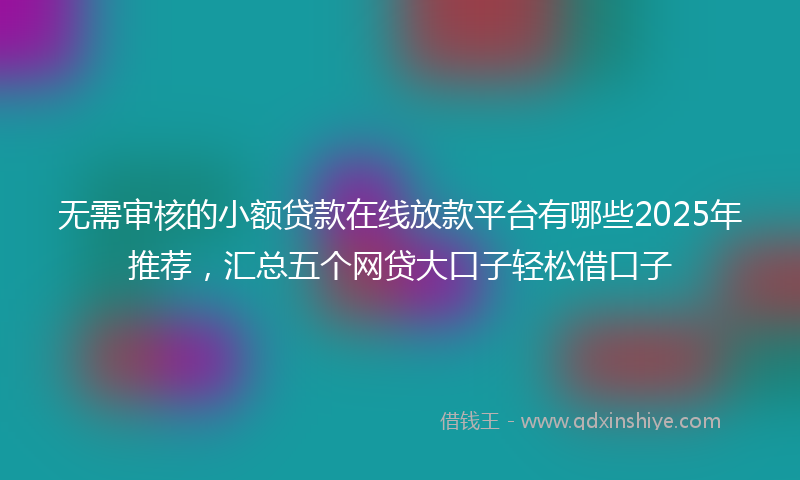 无需审核的小额贷款在线放款平台有哪些2025年推荐，汇总五个网贷大口子轻松借口子