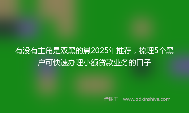 有没有主角是双黑的崽2025年推荐，梳理5个黑户可快速办理小额贷款业务的口子