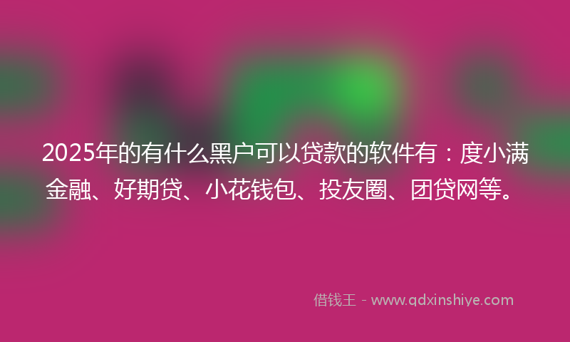 2025年的有什么黑户可以贷款的软件有：度小满金融、好期贷、小花钱包、投友圈、团贷网等。
