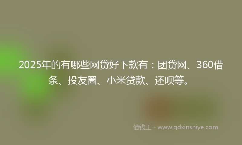 2025年的有哪些网贷好下款有：团贷网、360借条、投友圈、小米贷款、还呗等。