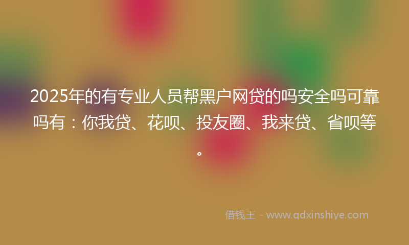 2025年的有专业人员帮黑户网贷的吗安全吗可靠吗有：你我贷、花呗、投友圈、我来贷、省呗等。