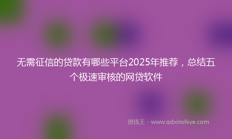 无需征信的贷款有哪些平台2025年推荐，总结五个极速审核的网贷软件