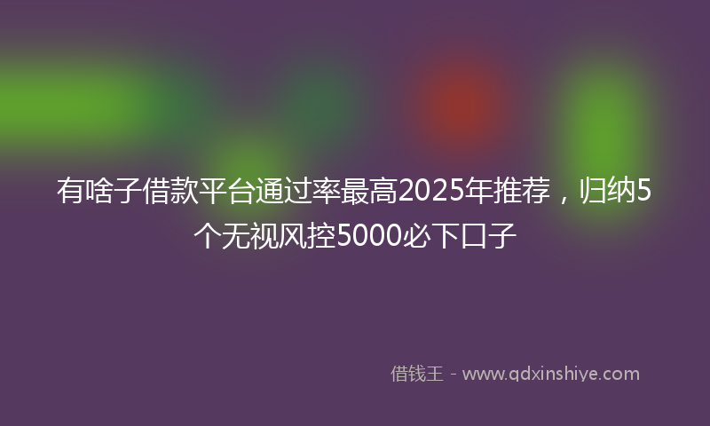 有啥子借款平台通过率最高2025年推荐，归纳5个无视风控5000必下口子