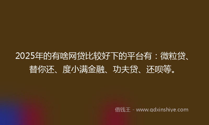 2025年的有啥网贷比较好下的平台有：微粒贷、替你还、度小满金融、功夫贷、还呗等。
