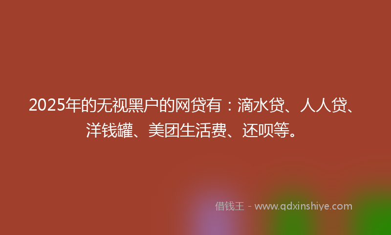 2025年的无视黑户的网贷有：滴水贷、人人贷、洋钱罐、美团生活费、还呗等。