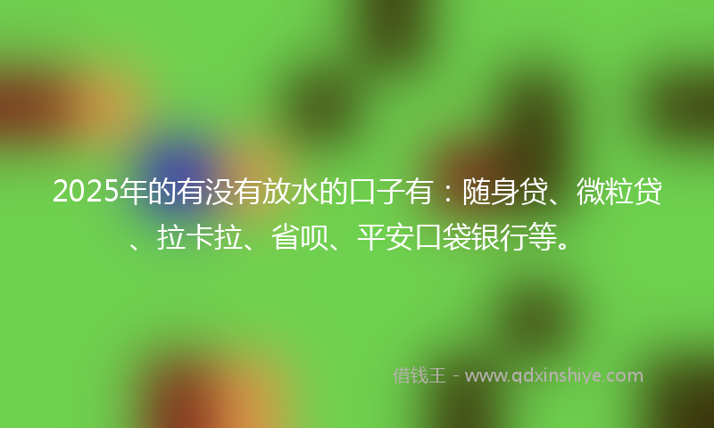 2025年的有没有放水的口子有：随身贷、微粒贷、拉卡拉、省呗、平安口袋银行等。