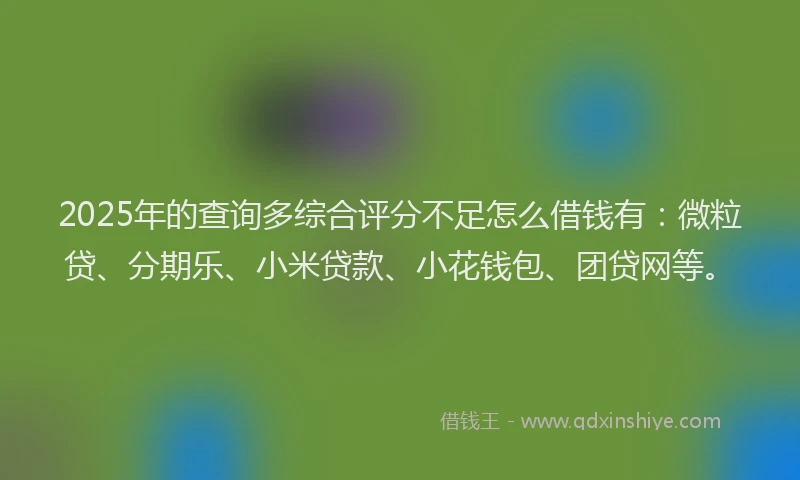 2025年的查询多综合评分不足怎么借钱有：微粒贷、分期乐、小米贷款、小花钱包、团贷网等。