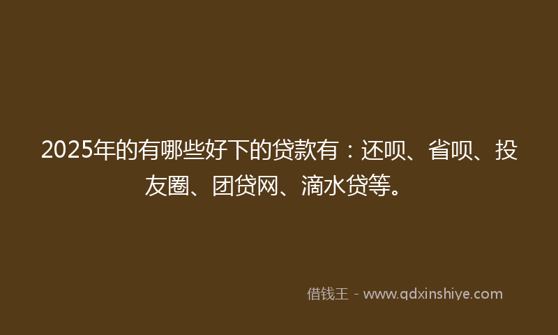 2025年的有哪些好下的贷款有：还呗、省呗、投友圈、团贷网、滴水贷等。