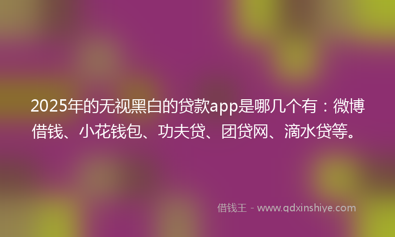 2025年的无视黑白的贷款app是哪几个有：微博借钱、小花钱包、功夫贷、团贷网、滴水贷等。