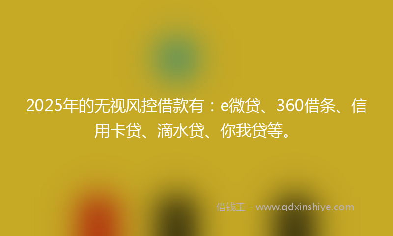 2025年的无视风控借款有：e微贷、360借条、信用卡贷、滴水贷、你我贷等。