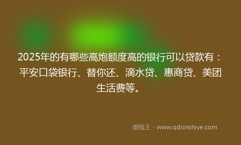 2025年的有哪些高炮额度高的银行可以贷款有：平安口袋银行、替你还、滴水贷、惠商贷、美团生活费等。