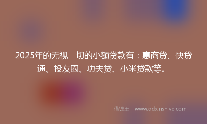 2025年的无视一切的小额贷款有：惠商贷、快贷通、投友圈、功夫贷、小米贷款等。