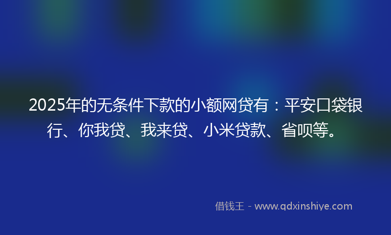 2025年的无条件下款的小额网贷有：平安口袋银行、你我贷、我来贷、小米贷款、省呗等。
