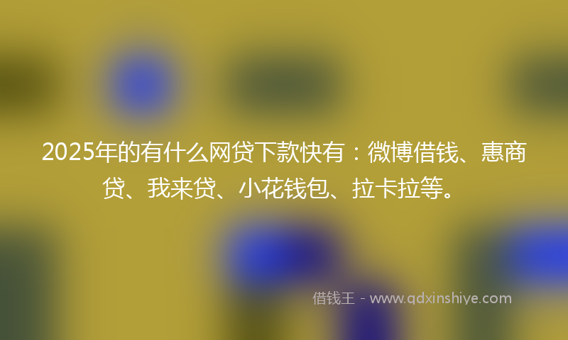 2025年的有什么网贷下款快有：微博借钱、惠商贷、我来贷、小花钱包、拉卡拉等。
