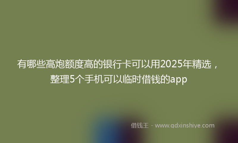 有哪些高炮额度高的银行卡可以用2025年精选，整理5个手机可以临时借钱的app