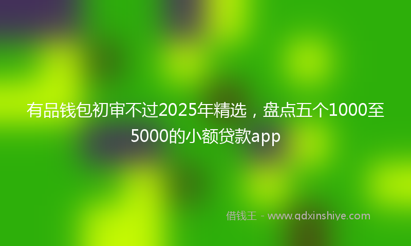 有品钱包初审不过2025年精选，盘点五个1000至5000的小额贷款app