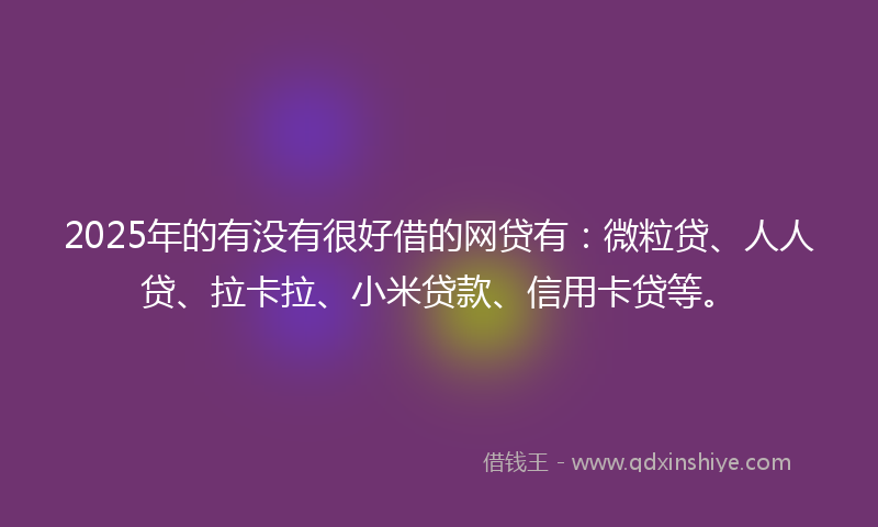 2025年的有没有很好借的网贷有：微粒贷、人人贷、拉卡拉、小米贷款、信用卡贷等。