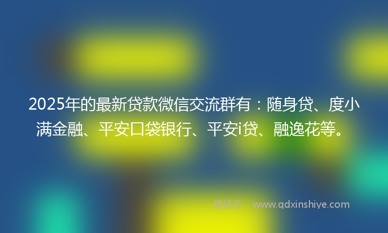 2025年的最新贷款微信交流群有：随身贷、度小满金融、平安口袋银行、平安i贷、融逸花等。