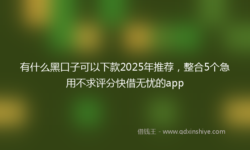 有什么黑口子可以下款2025年推荐，整合5个急用不求评分快借无忧的app