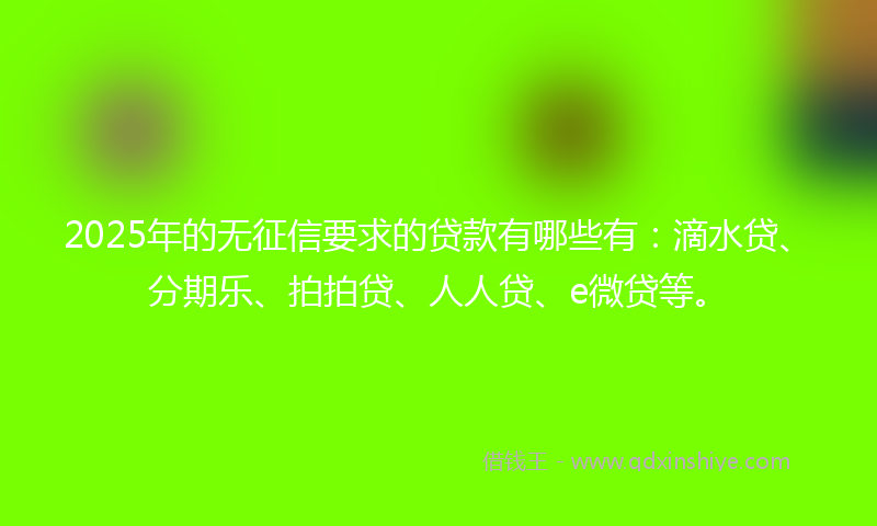 2025年的无征信要求的贷款有哪些有：滴水贷、分期乐、拍拍贷、人人贷、e微贷等。