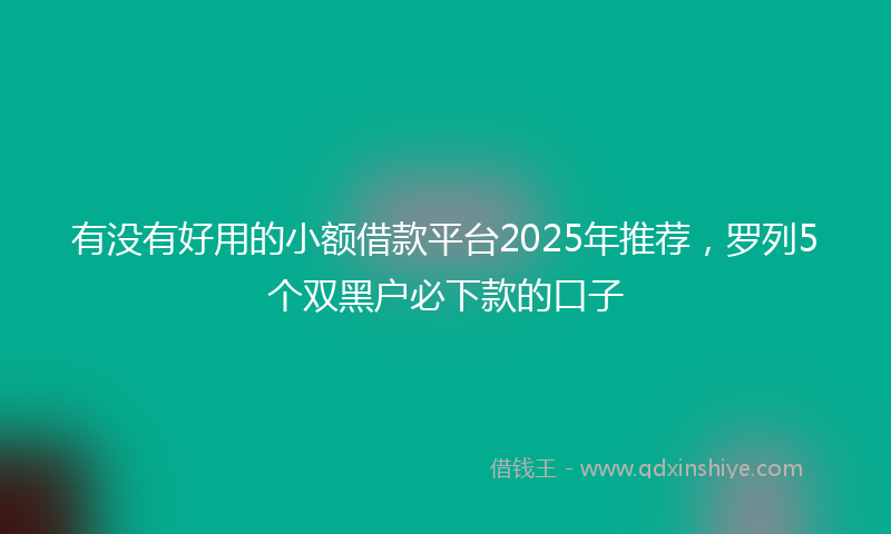 有没有好用的小额借款平台2025年推荐，罗列5个双黑户必下款的口子