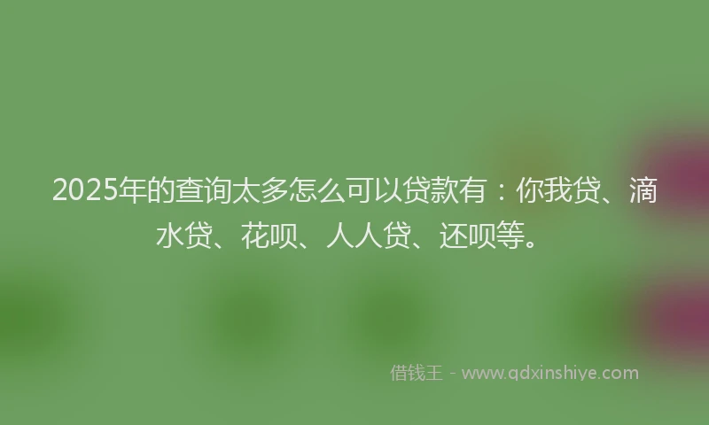 2025年的查询太多怎么可以贷款有：你我贷、滴水贷、花呗、人人贷、还呗等。