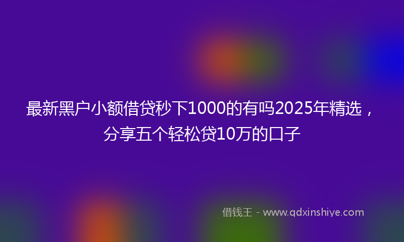 最新黑户小额借贷秒下1000的有吗2025年精选，分享五个轻松贷10万的口子